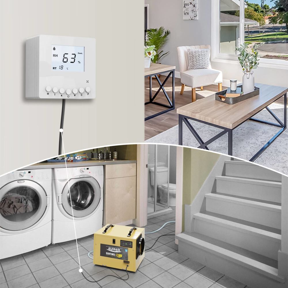 Sentinel HD 55 120 PPD Dehumidifier, Gold X002WCF2RB