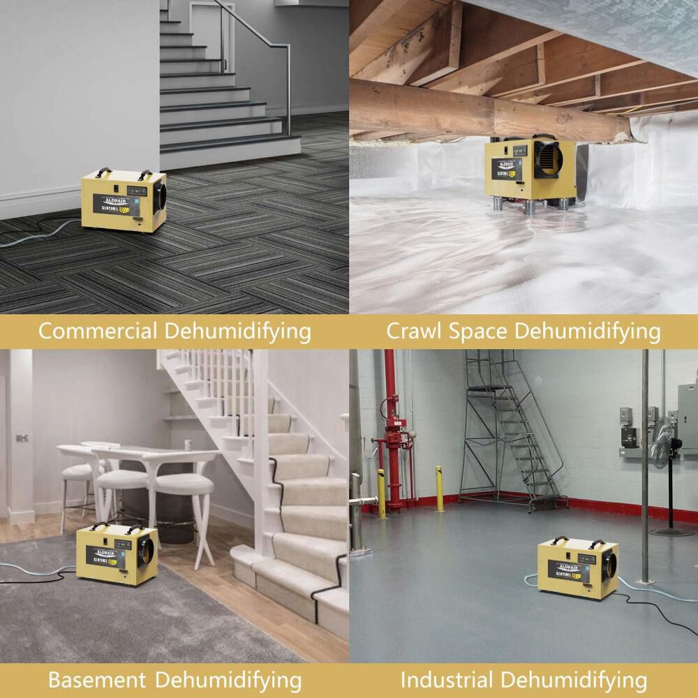 Sentinel HD 55 120 PPD Dehumidifier, Gold X002WCF2RB