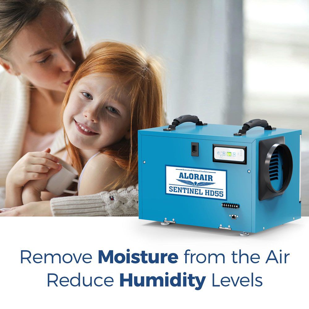Sentinel HD 55 Dehumidifier 113 PPD, Blue X002PLZ9CR