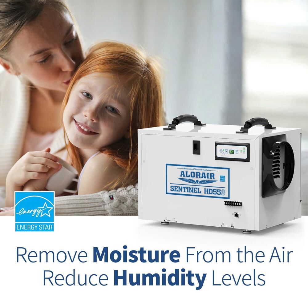 Sentinel HD 55S 120 PPD Dehumidifier, White B01LWA8J37