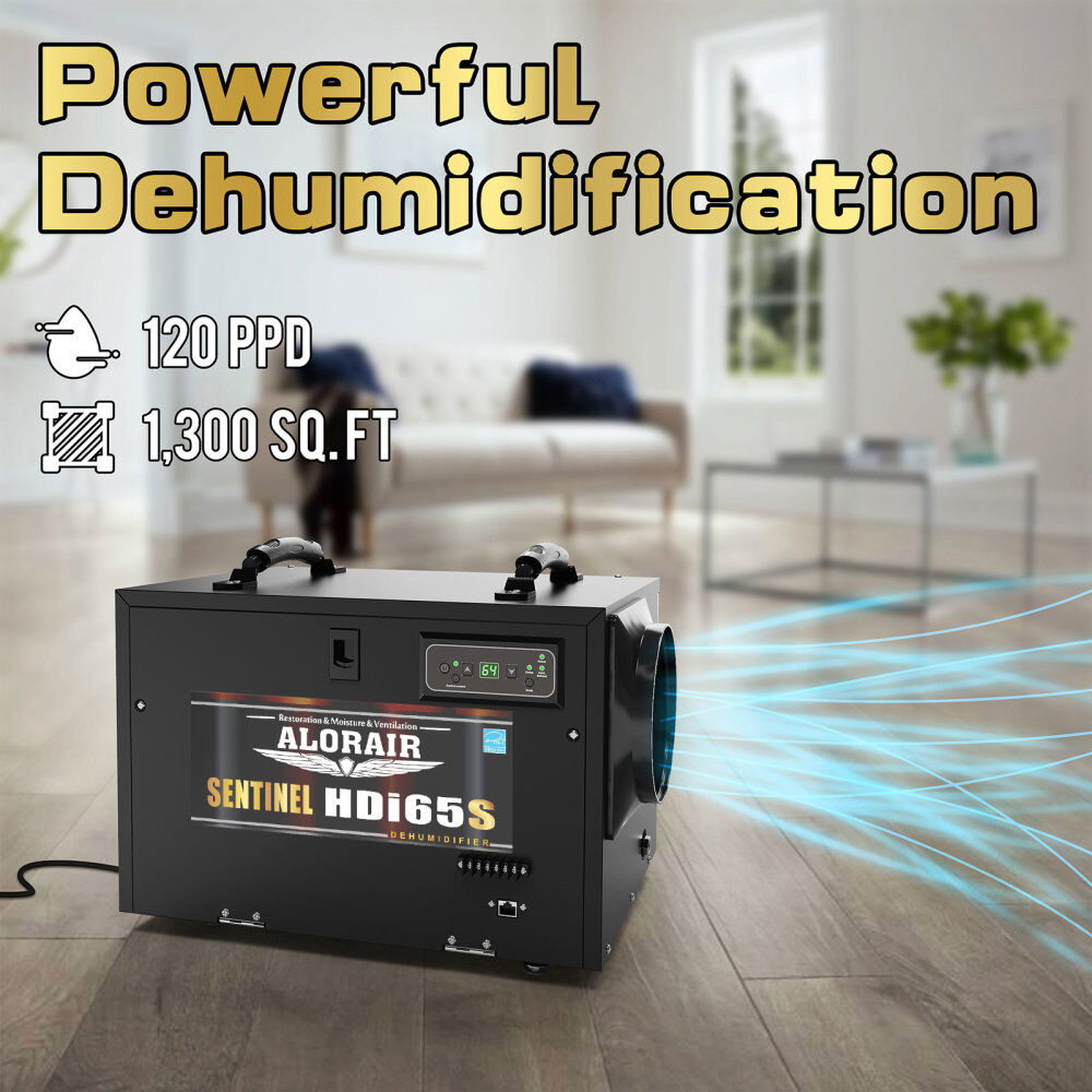 Sentinel HDi65S 120 PPD Dehumidifier, Black X003A6LVBJ