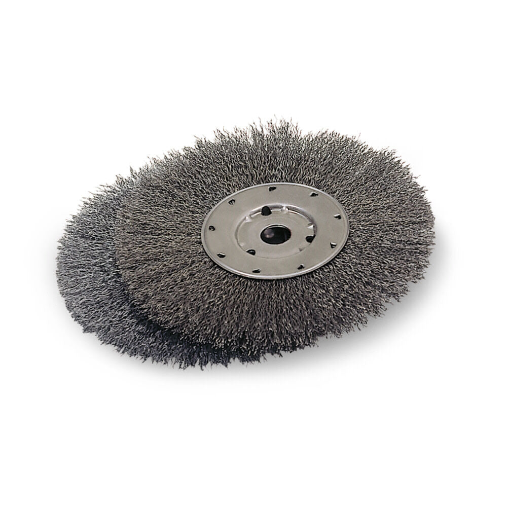 8 in. Crimped Wire Wheel W82