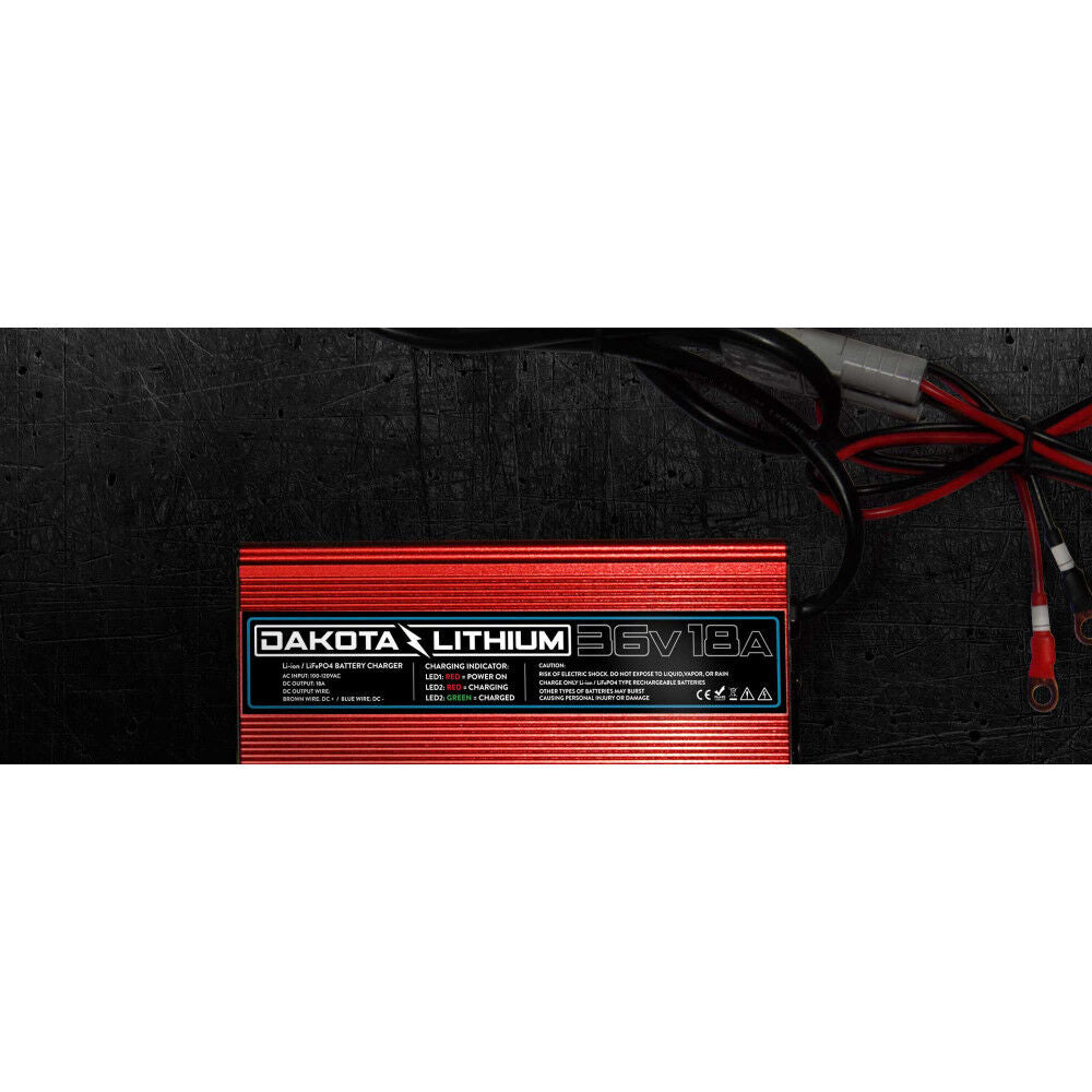 36V 18A LiFePO4 Battery Charger 36V 18 A DL CHARGER