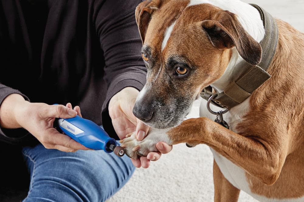 1-speed Cordless 4-volt 2-Amp Pet Grooming Rotary Tool Kit 7350-PET