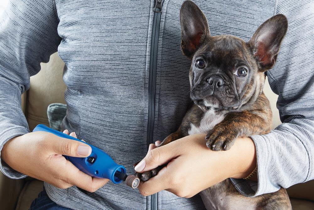 1-speed Cordless 4-volt 2-Amp Pet Grooming Rotary Tool Kit 7350-PET