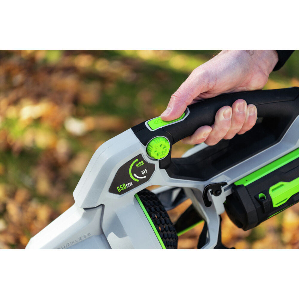 Power+ Blower 650 CFM Kit with 4Ah Battery LB6503