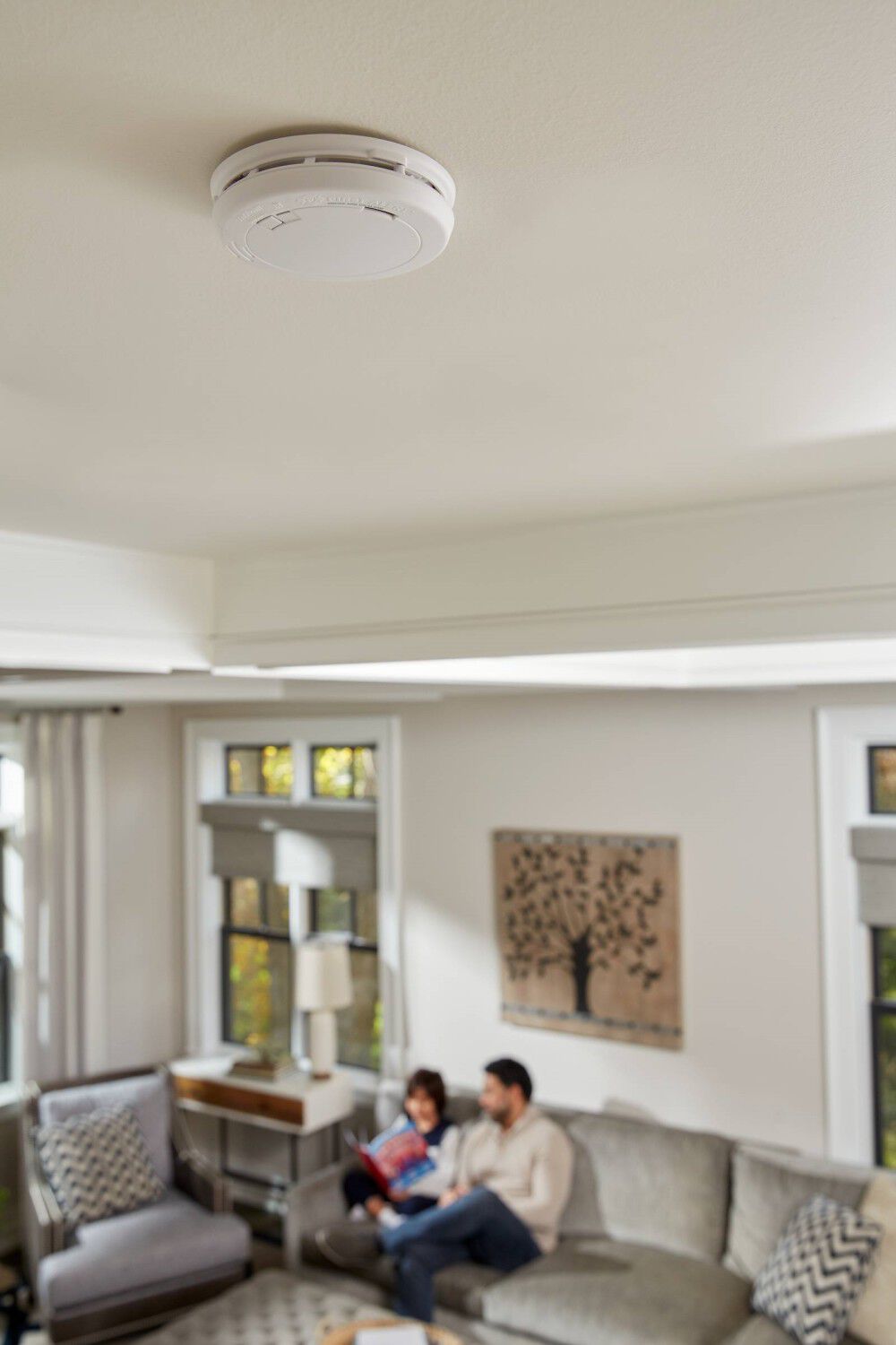 Slim Photoelectric Smoke Alarm with 10-Year Battery 1039856