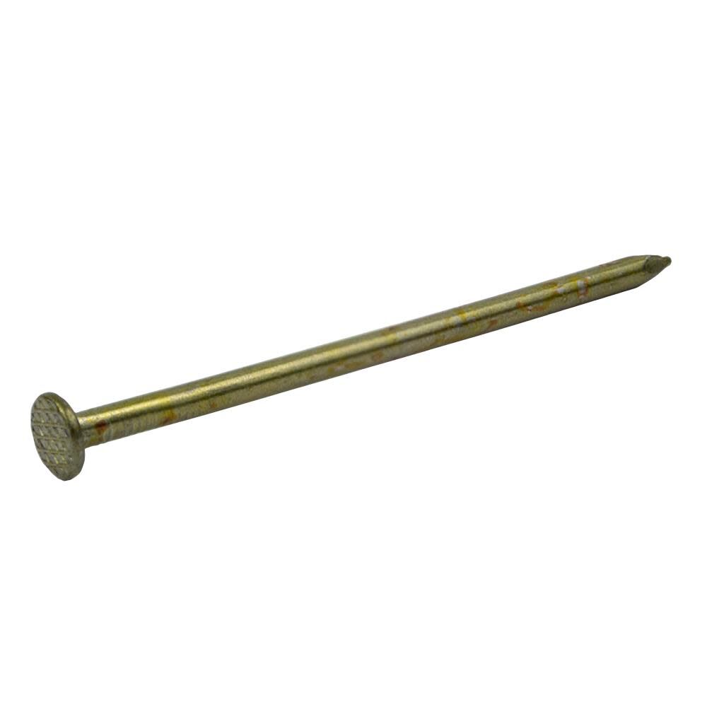 50-Lb 9-Gauge 3.25-in Vinyl-Coated Smooth Sinker Nails 16DCC