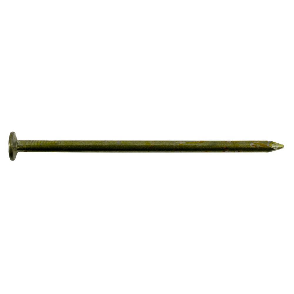 50-Lb 9-Gauge 3.25-in Vinyl-Coated Smooth Sinker Nails 16DCC