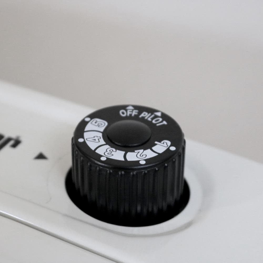 20000 BTU Vent Free Blue Flame Natural Gas Heater with Thermostat and Blower F156021