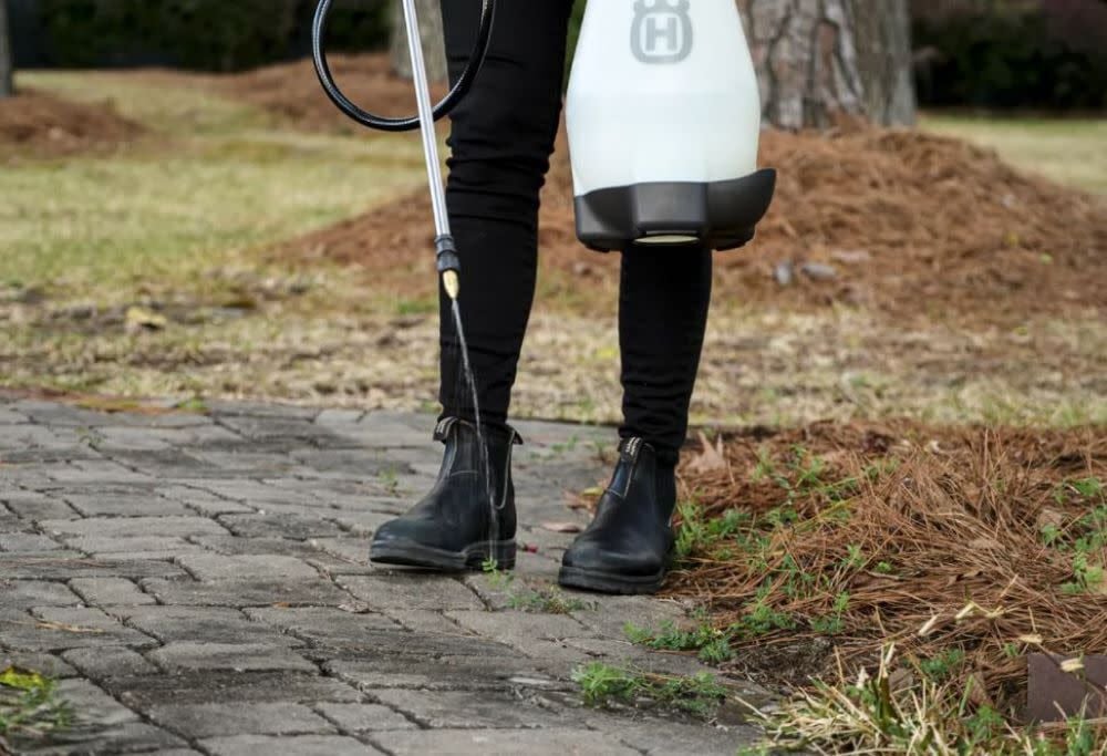 Cordless Battery Handheld Sprayer 2 Gallon 598 96 76-01