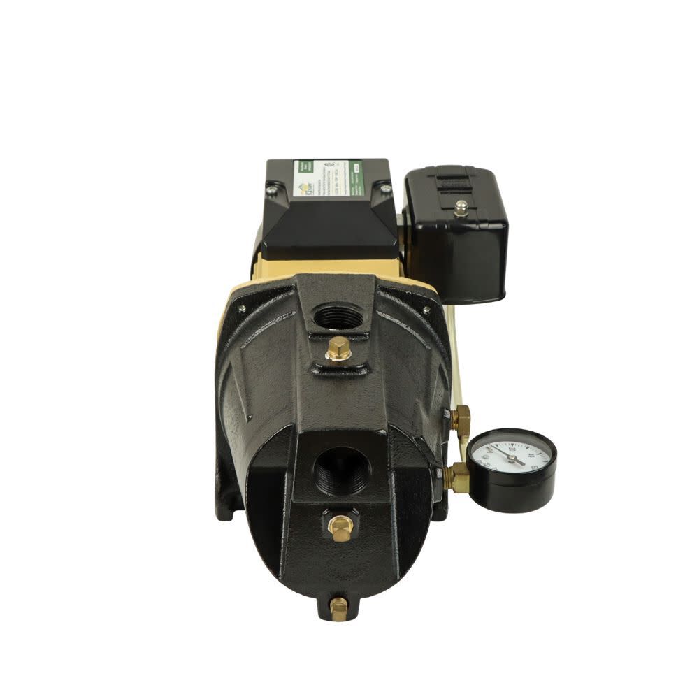 Shallow Well Jet Pump 3/4 HP Lead Free Cast Iron 115/230V WPS07502K