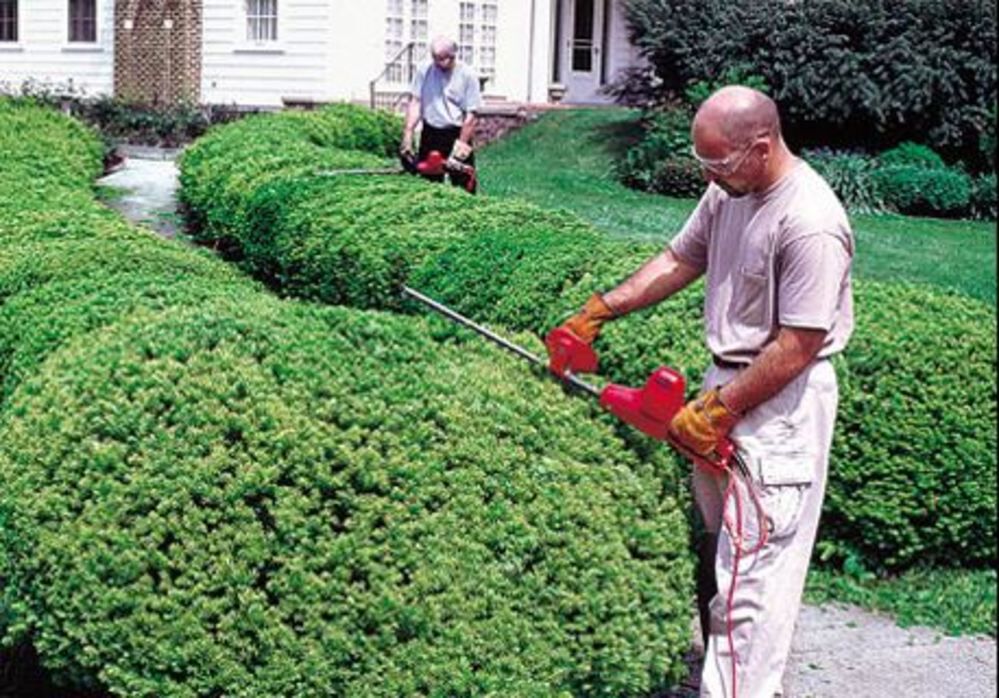 Hedge Trimmer 30in Double Edge Electric 3020-00-01