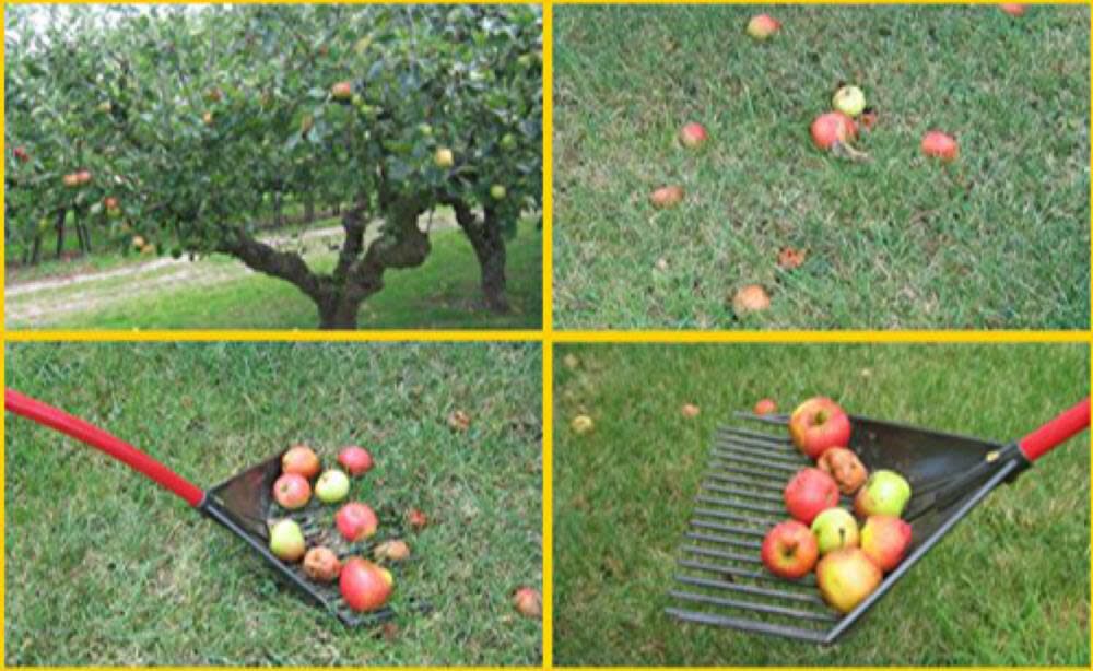 Rake-Shovel-Skimmer RK001