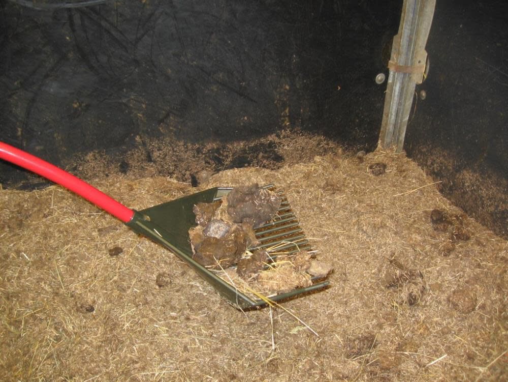 Rake-Shovel-Skimmer RK001