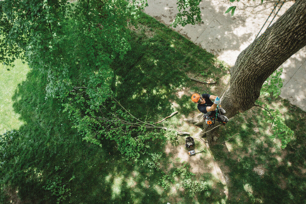 14 Inch Bar Gasoline Top Handle Chainsaw 1137 200 0352