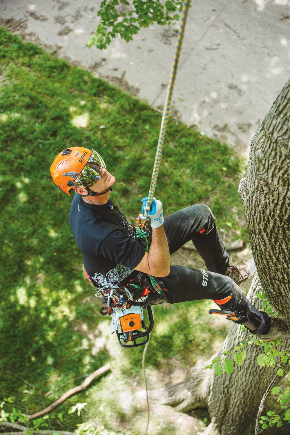 14 Inch Bar Gasoline Top Handle Chainsaw 1137 200 0352