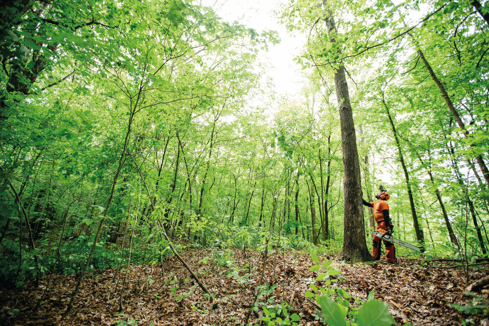 20 Inch Bar Rear Handle Chainsaw without Depth Limiter 1142 200 0148