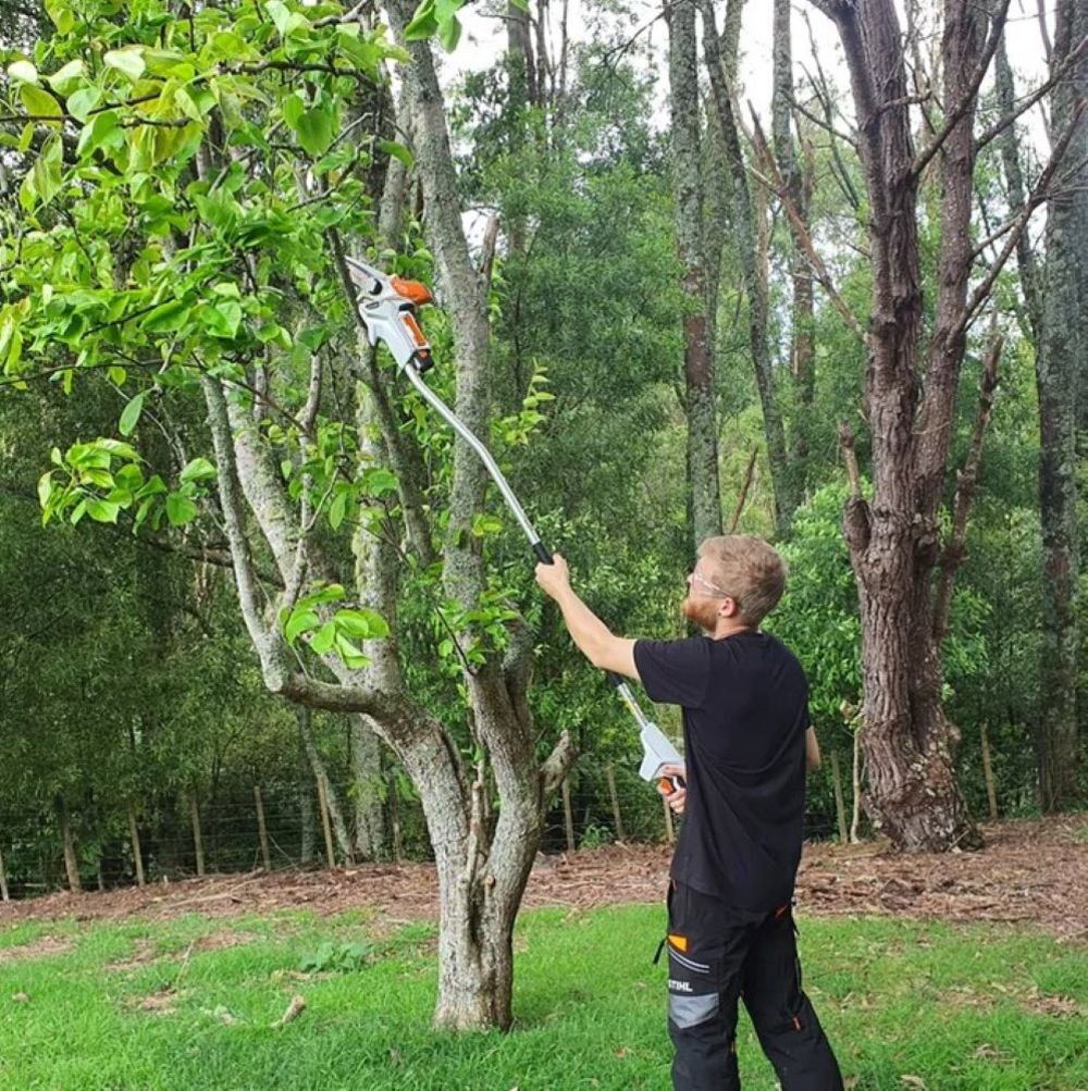 GTA 26 4 Inch Bar & Chain Garden Pruner ( Bare Tool) with 5ft Extension & Lubricating Oil Bundle GTA26K