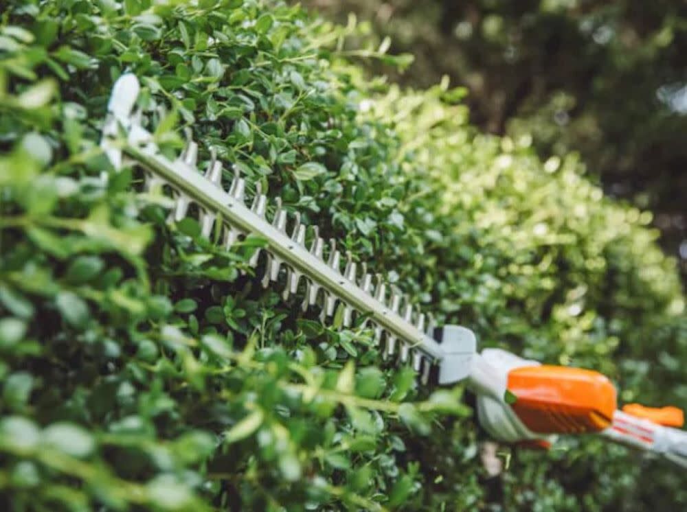 HLA 56 18in 36V Battery Powered Hedge Trimmer (Bare Tool) HA01 011 2901 US