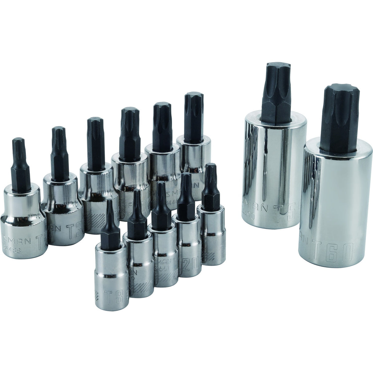 13-Piece 1/4-in; 3/8-in Drive Set Torx Bit Driver Socket Set CMMT49294