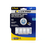 16-Lumen 1 Mode LED Flashlight LP172