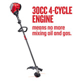 WS4200 30-cc 4-cycle 17-in Straight Shaft Attachment Capable Gas String Trimmer CMXGTAMDSS30