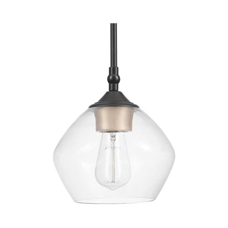 Harrow Pendant Light Matte Black 60W E26 1 Light 3008643