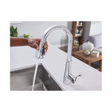 Hadley Kitchen Faucet Chrome 1 Handle Pulldown 87245