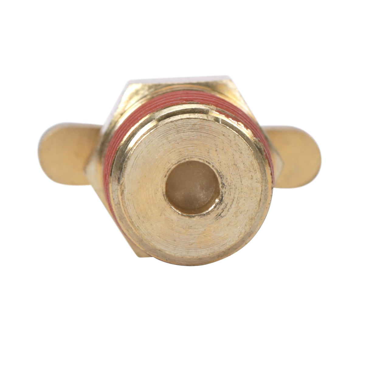 1/4-in Brass Drain Cock SGY-AIR11NB