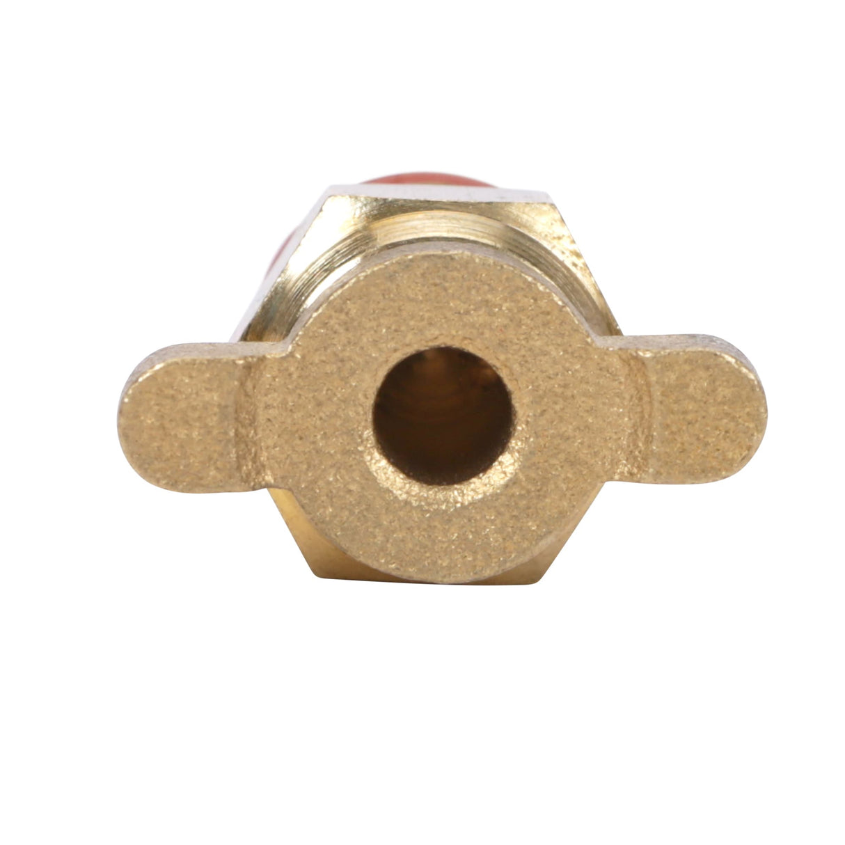 1/4-in Brass Drain Cock SGY-AIR11NB