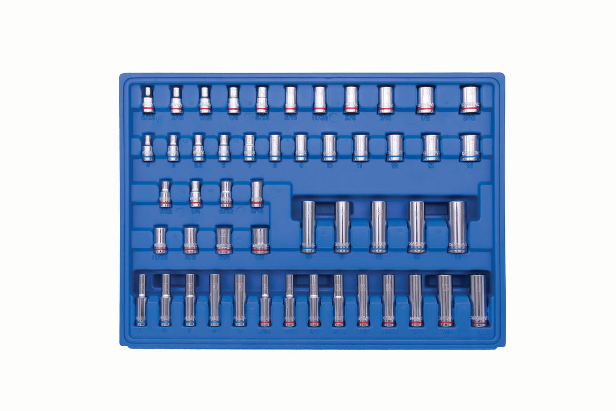 250-Piece Standard (SAE) and Metric Polished Chrome Mechanics Tool Set with Hard Case 81700