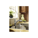 Renzo Pullout Kitchen Faucet Chrome 1 Handle Low Arc CA87316C