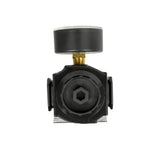 Dewalt 3/8 In. Npt Air Regulator with Pressure-Gauge DXCM019-0343