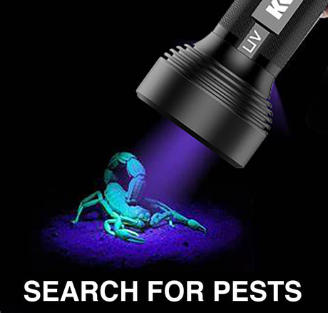 Blacklight 51 Uv LED Flashlight 66385