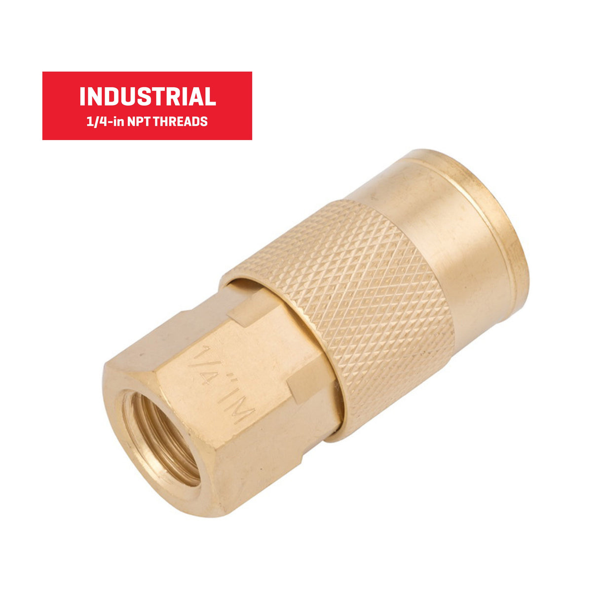 Brass Coupler (F) 1/4-in Industrial SGY-AIR23NB