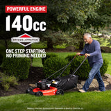 M110 21-in Gas Push Lawn Mower with 140-cc Briggs and Stratton Engine CMXGMAM1125499