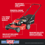 M110 21-in Gas Push Lawn Mower with 140-cc Briggs and Stratton Engine CMXGMAM1125499