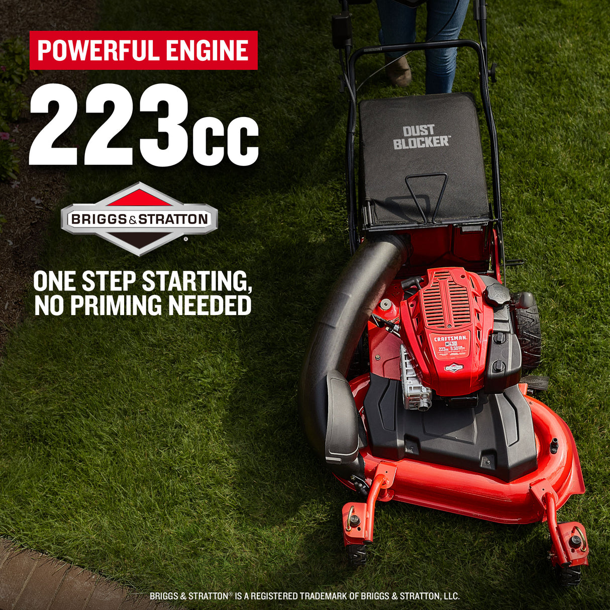 M430 28-in Gas Self-propelled Lawn Mower with 223-cc Briggs and Stratton Engine CMXGMAM201202