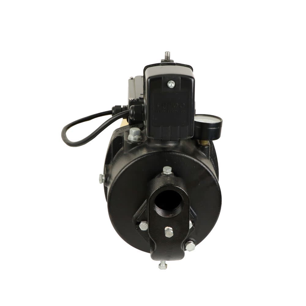 Convertible Jet Pump 3/4 HP Cast Iron with LED Diagnostics Panel WPD07502K