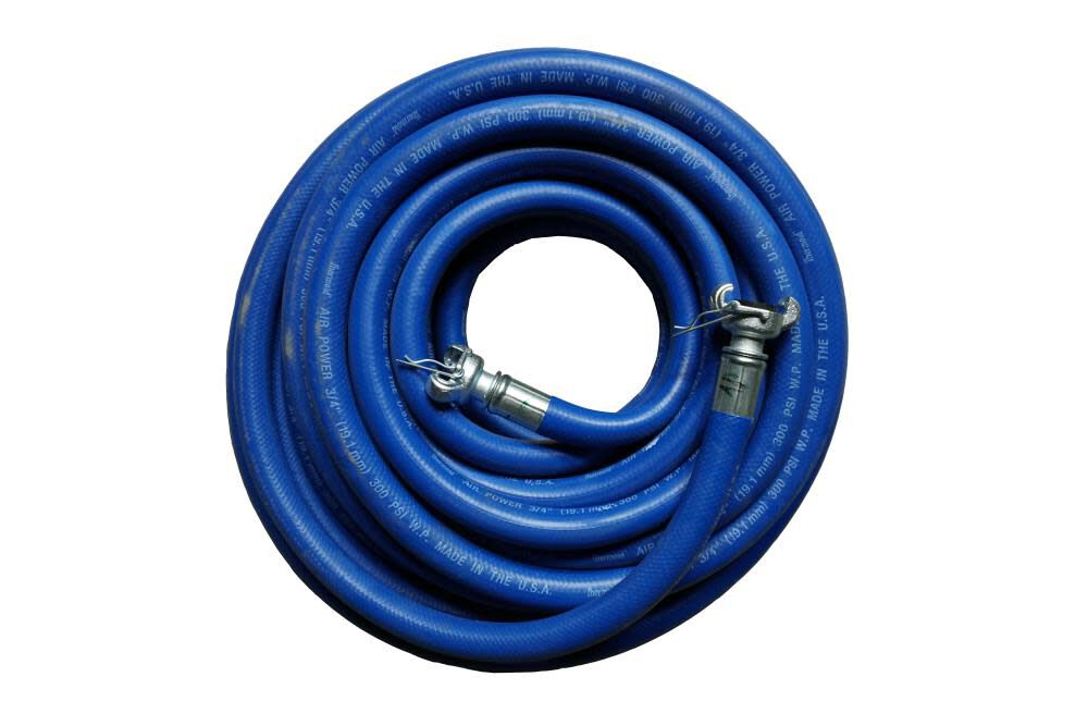 50 Ft. 300 PSI Hose 3/4X50B