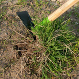 2 Prong Weeder Hoe with Cushion End Grip on Hardwood Handle 2825500