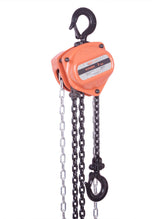 Chain Hoist 1 Ton 2200 lbs 20' Chain TCH-010-20