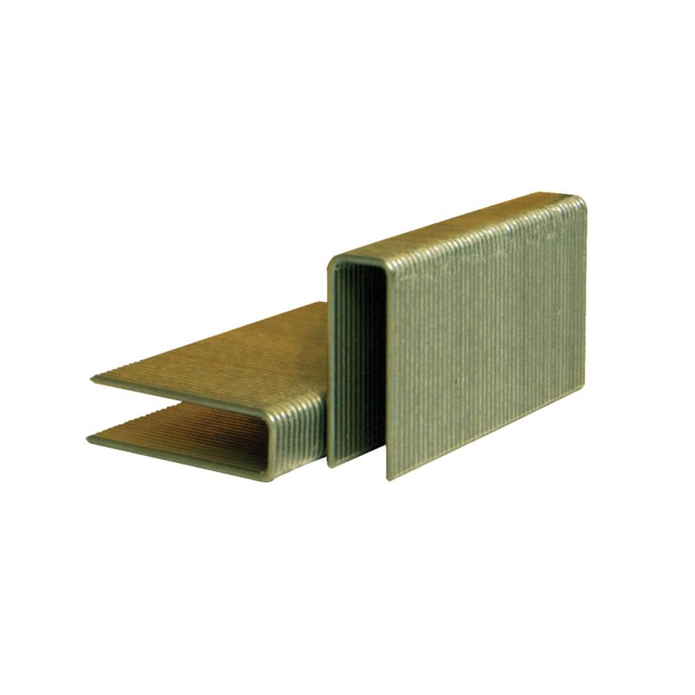 1-1/2 In. 15-1/2 Gauge 1/2 In. Crown Hardwood Flooring Staples BCS1512