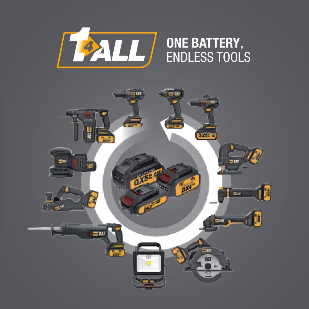 18V 1 in Cordless SDS-Plus Rotary Hammer Drill with Two Batteries DX21