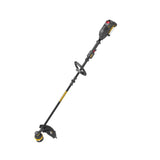 DG610 60V 15in Brushless Line Trimmer with Dual Line Bump Feed Head Kit DG610