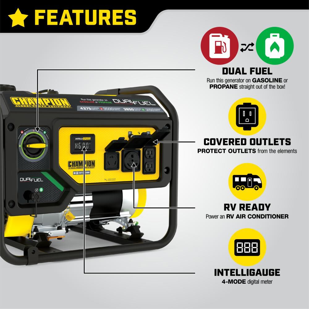 3500 Watt Dual Fuel Portable Generator 200965