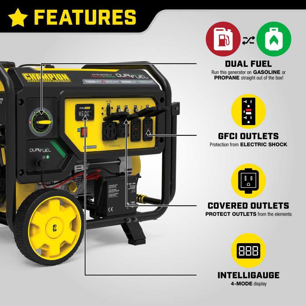 9200 Watt Dual Fuel Portable Generator with Electric Start 201194