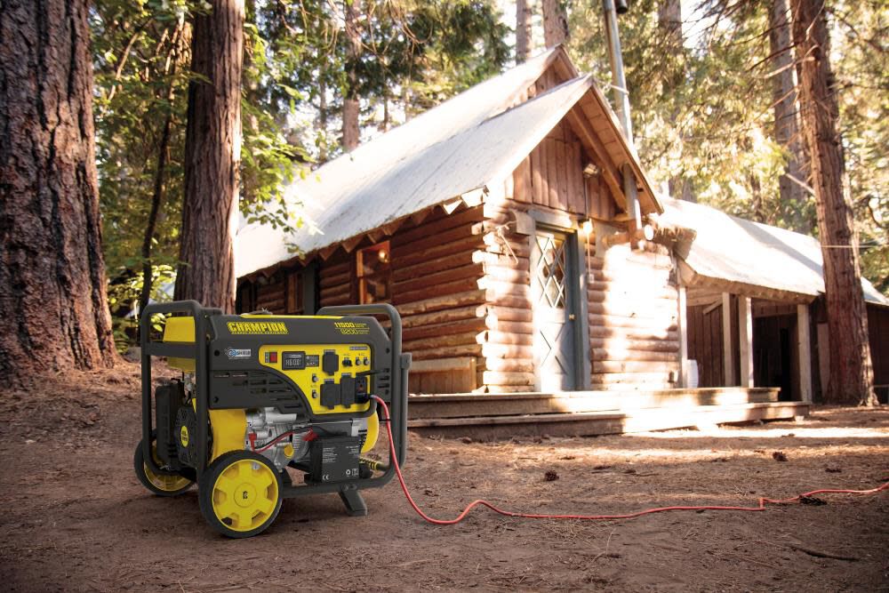 9200 Watt Electric Start Portable Generator with CO Shield 201110