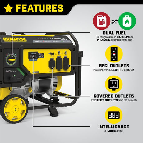 Generator Dual Fuel Portable with CO Shield 5500 Watt 201085